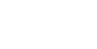 Logo Dr. Koll
